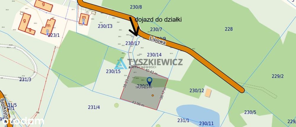 Działka w otulinie lasów!