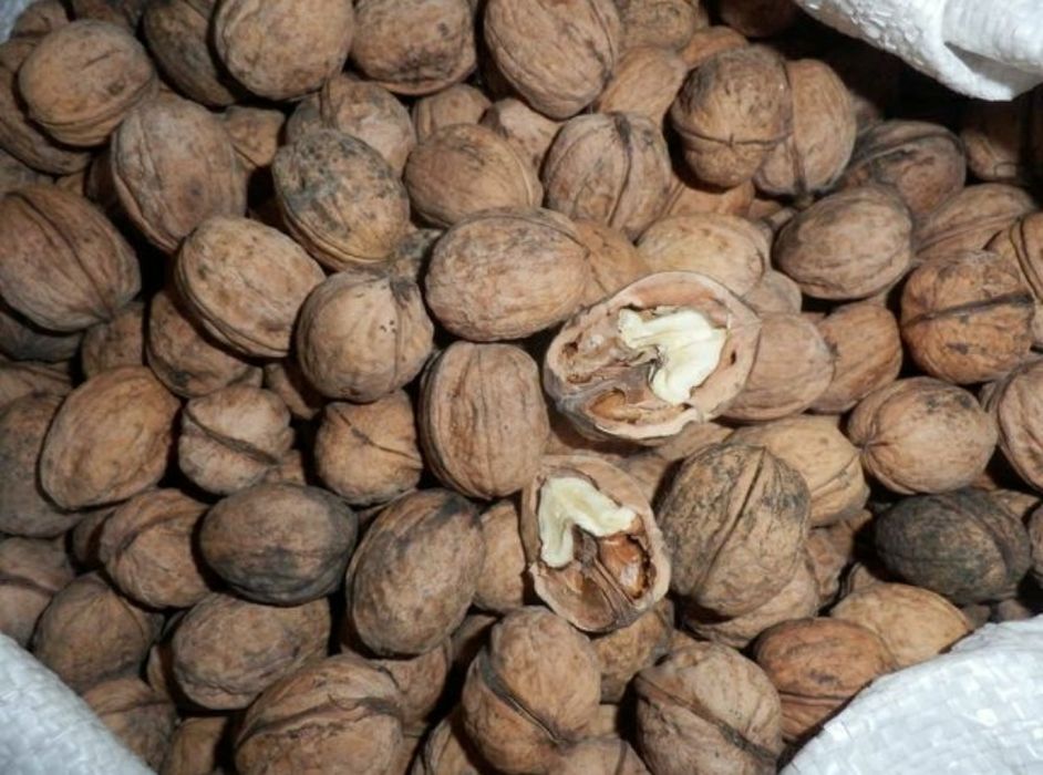 Продам горіх цьогорічний