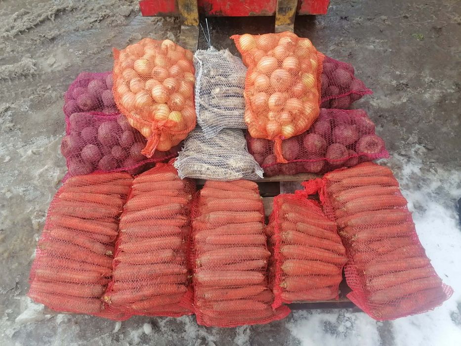 Zestaw warzyw Burak marchew pietruszka prosto z gospodarstwa od rolnik