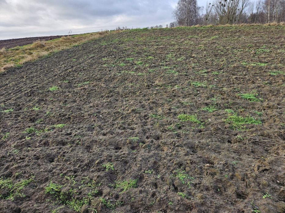 Działki Zwierzewo Mazury