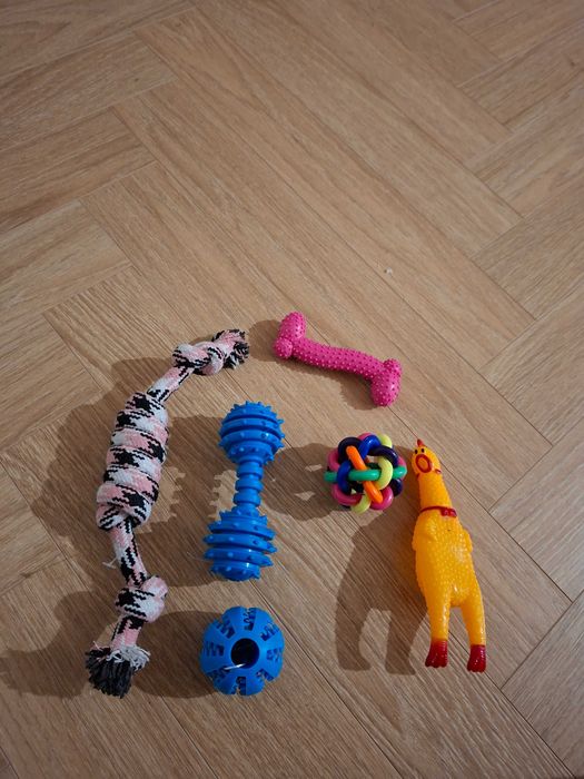Zabawka dla psa ZESTAW 6 elementów PROMOCJA