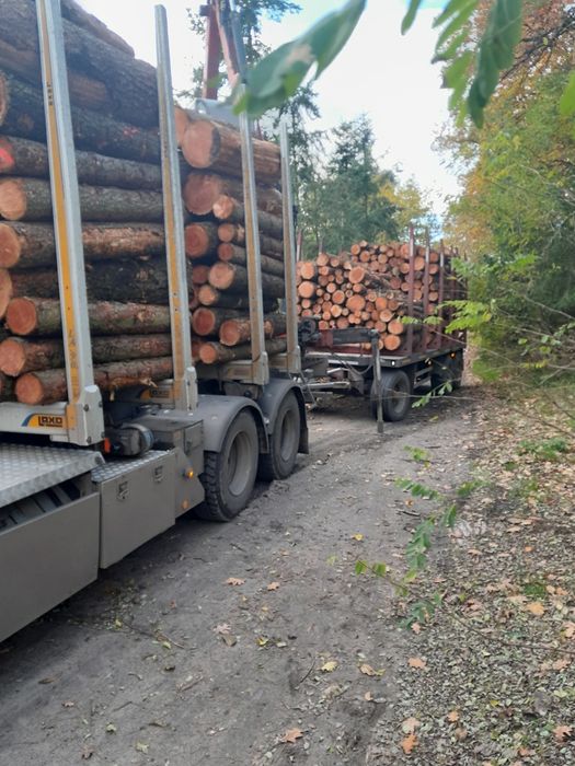 Drewno kominkowe i opałowe