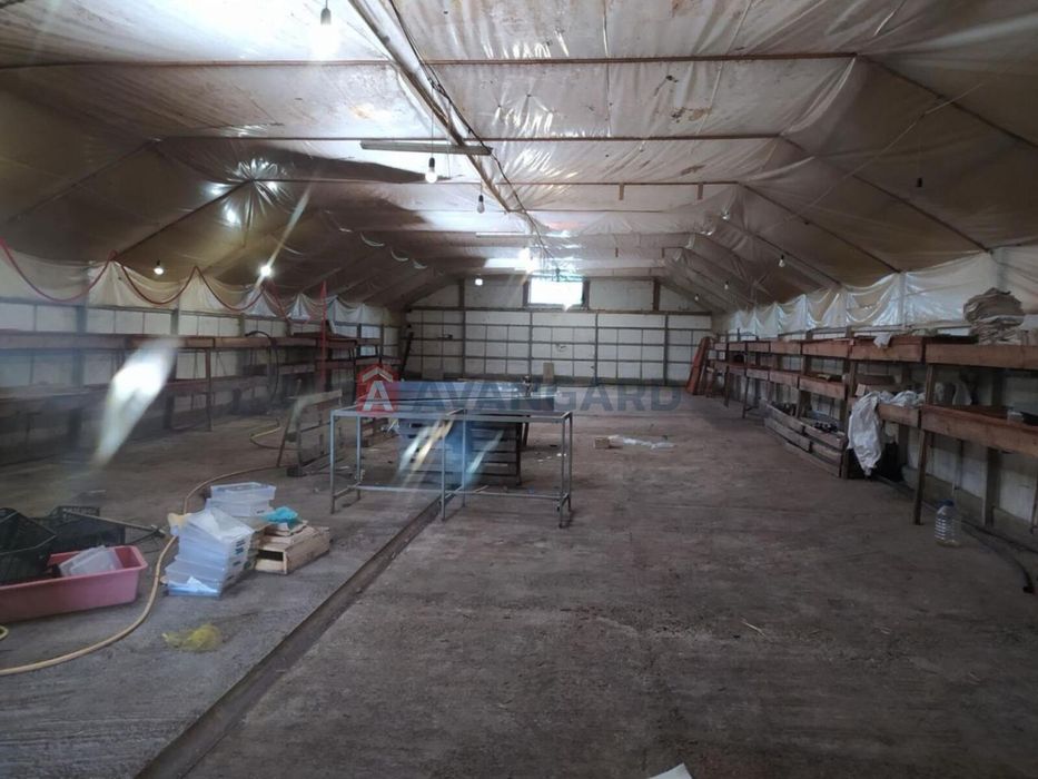 Унікальне комерційне приміщення,Білоцерківського р-н, Без%