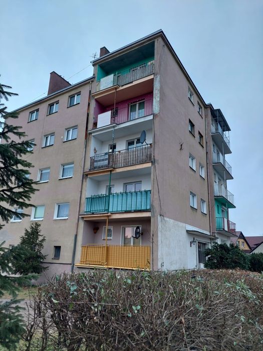 Zdjęcie 6