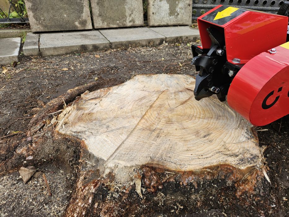 Frezowanie pni, wycinka drzew, uslugi ogrodnicze, glebogryzarka separa