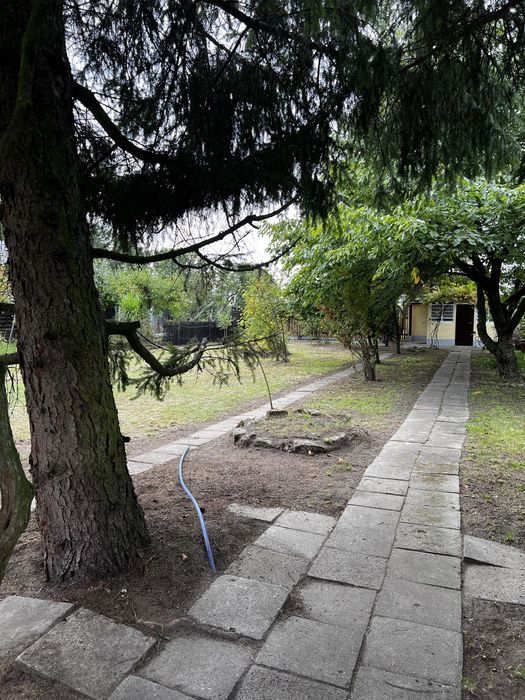 Działka ROD, ul. Działkowców Września, 400 m² - Widok 4