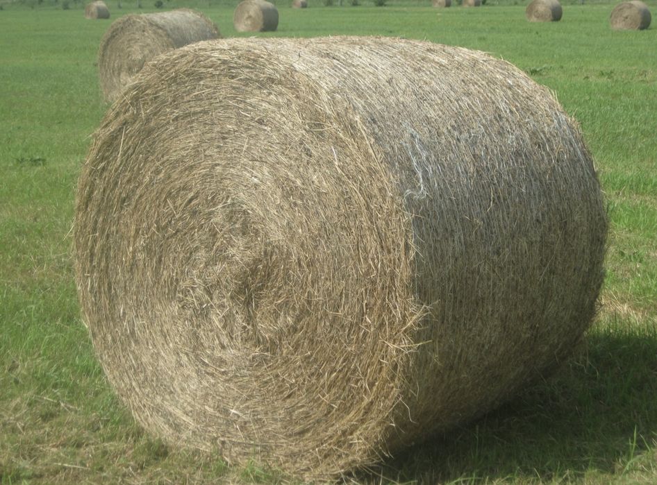 Sprzedam siano łakowe