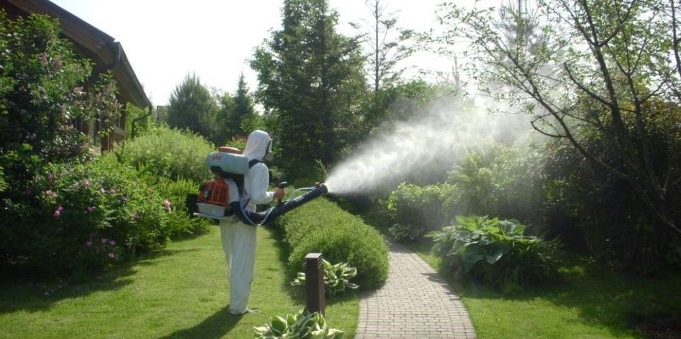 Догляд за садом, газоном, квітниками, обрізка, стрижка, озеленення