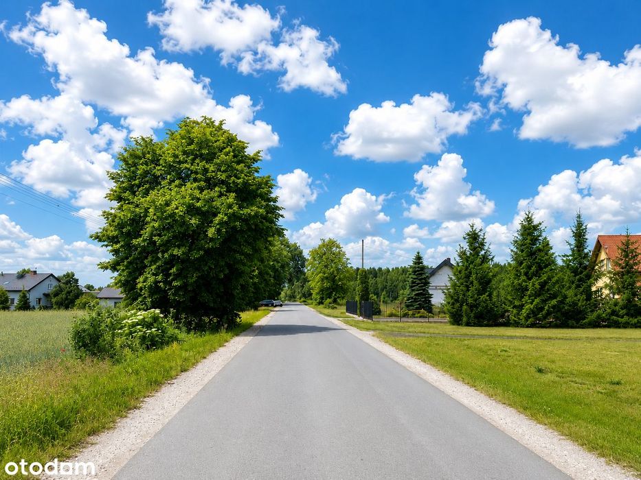 Działki 3000 m² w malowniczej okolicy – Gmina Jeżewo - Widok 4