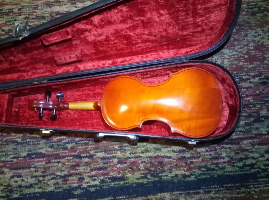 Скрипка 3/4 доросла