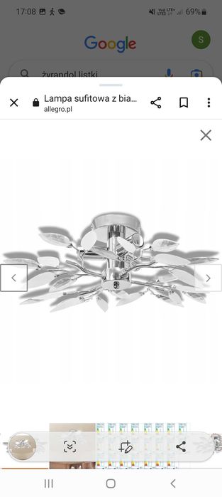 Zerandole 2 szt  listki