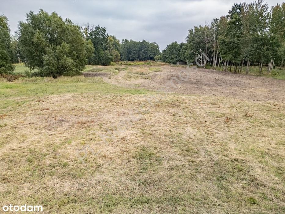 Działka, Chrzanów Mały - Widok 5