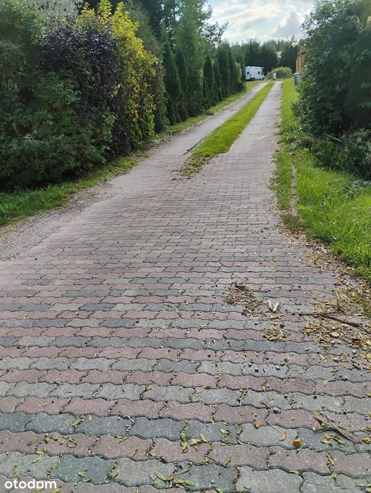 Zdjęcie 2