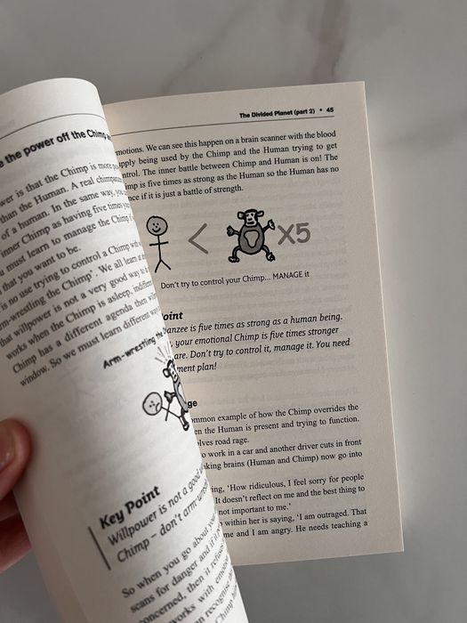 Livro: The Mind Management