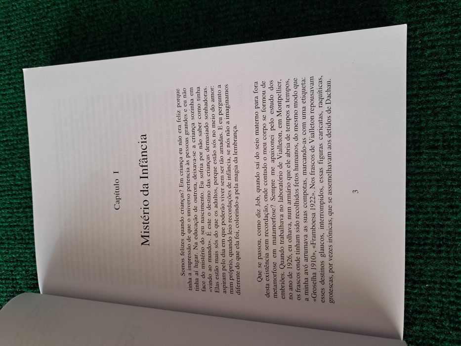 Um século uma vida - Jean Guitton