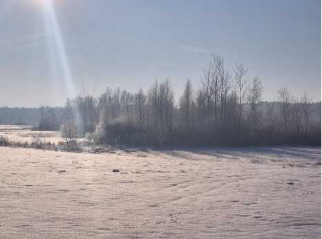 Udział 1/3 w działce rolnej - View 2