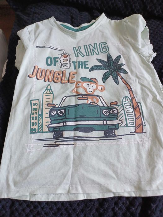 T shirt dla chłopca - wieopak 10 sztuk