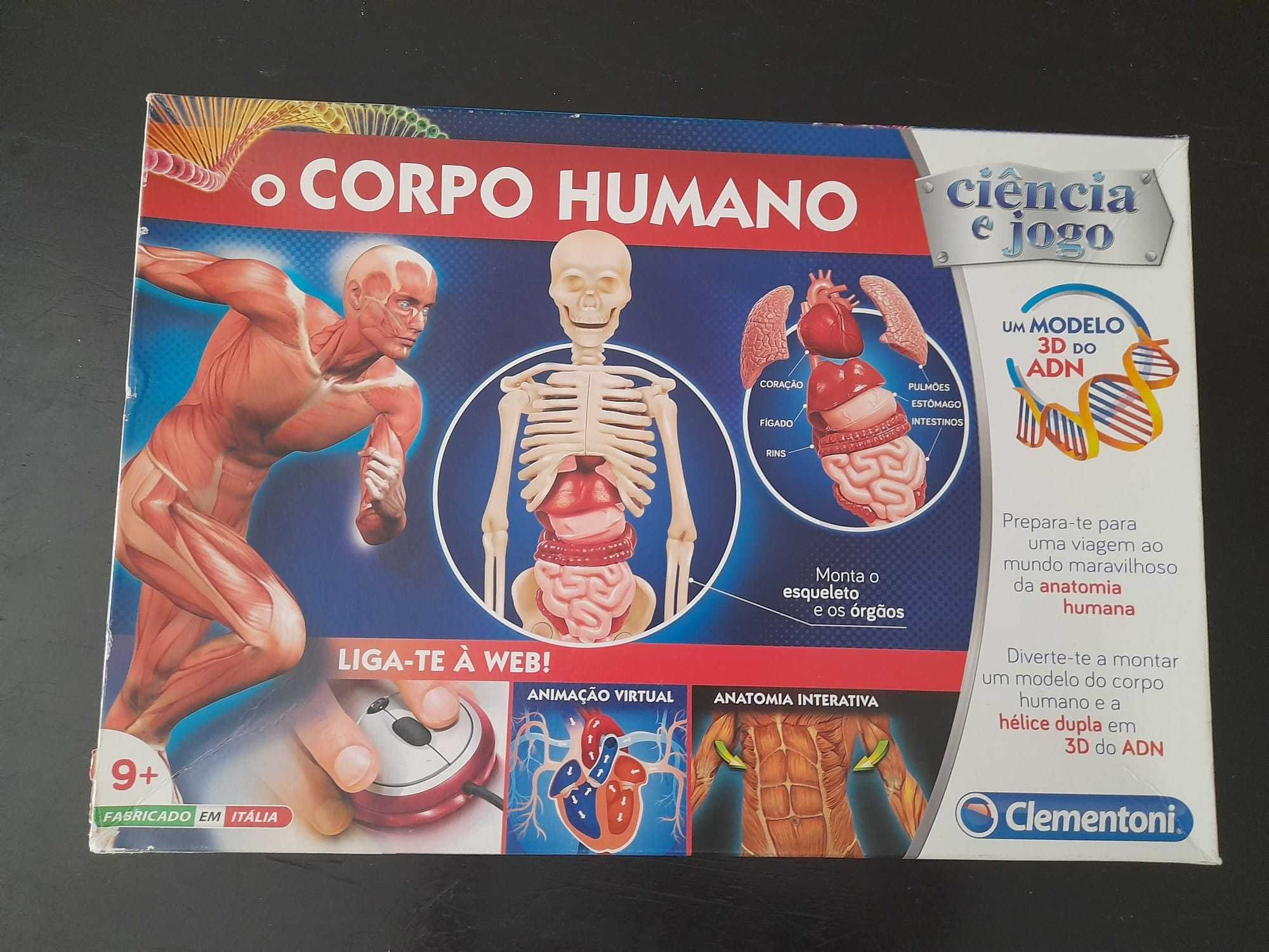 Jogo didático o corpo humano Baixa Da Banheira E Vale Da Amoreira • OLX  Portugal