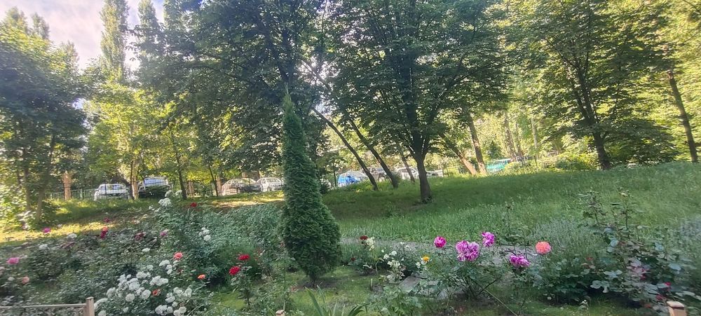Продаж приватної клініки