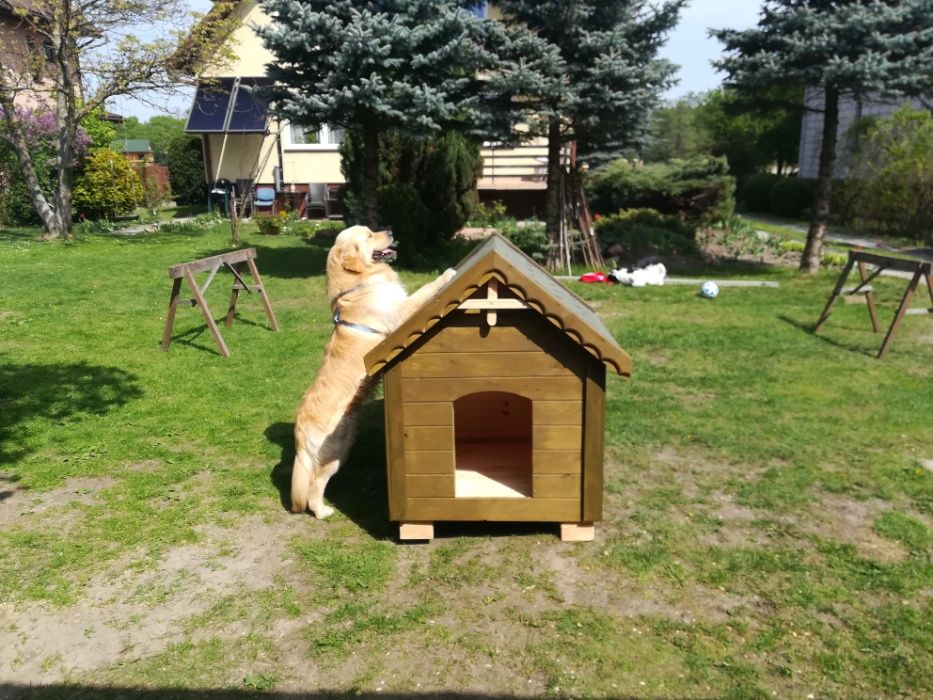 Buda dla psa DUZA, owczarek, labrador, haski,