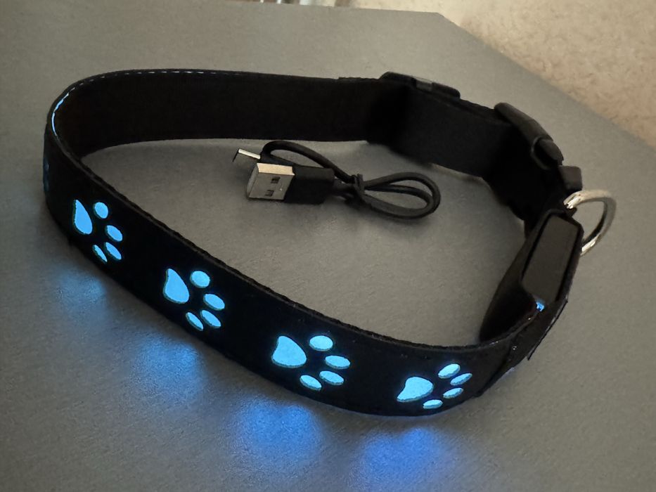 Продам собачий ошийник