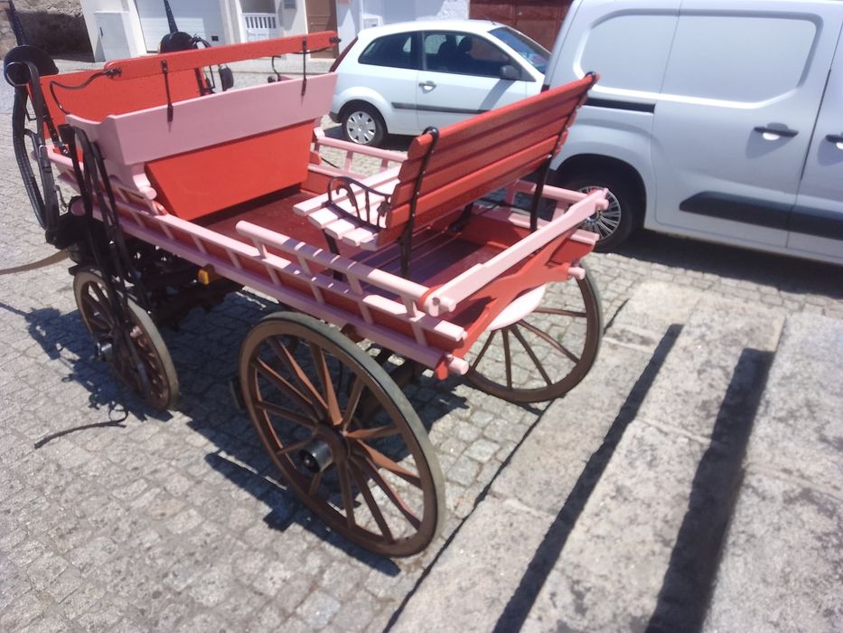 Vende-se charete e Egua