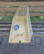 клітка для щурів, хом'яків, ласок, горностаїв