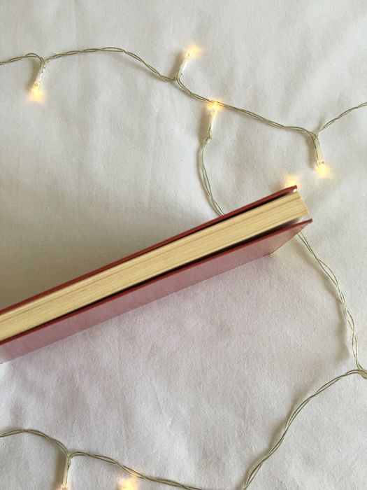 Livro A Pequena Vera - portes incluídos