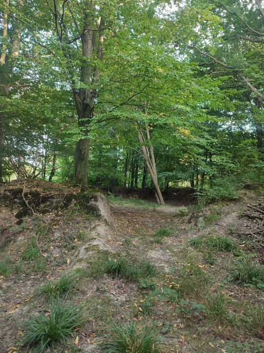 Leśny młyn pod Radunią 4,11 ha