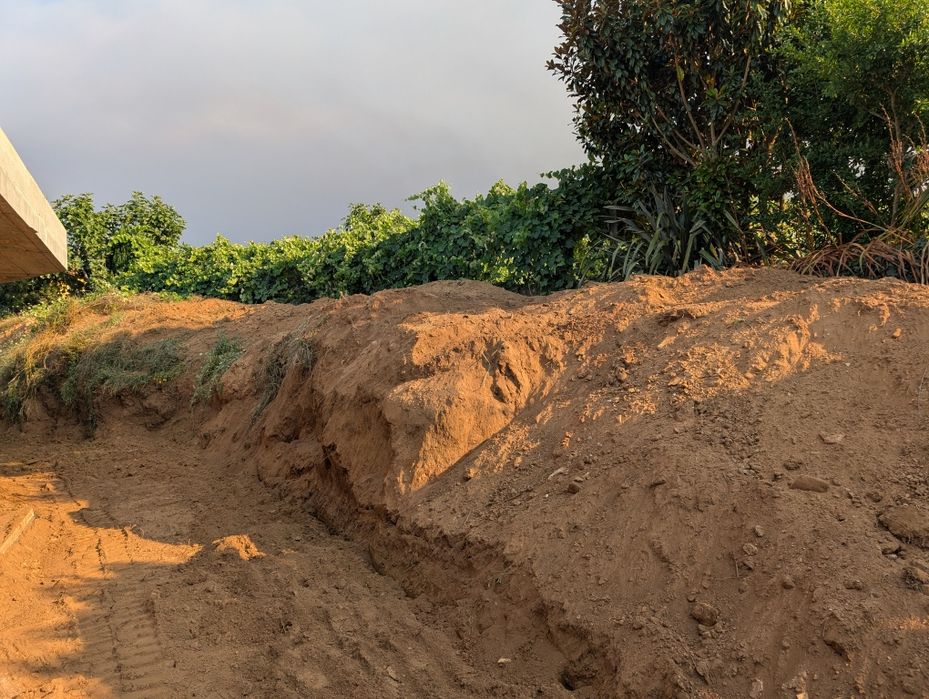 Dou Terra preta retirada de campos
