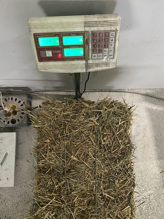 Продам тюковане сіно різнотрав’я