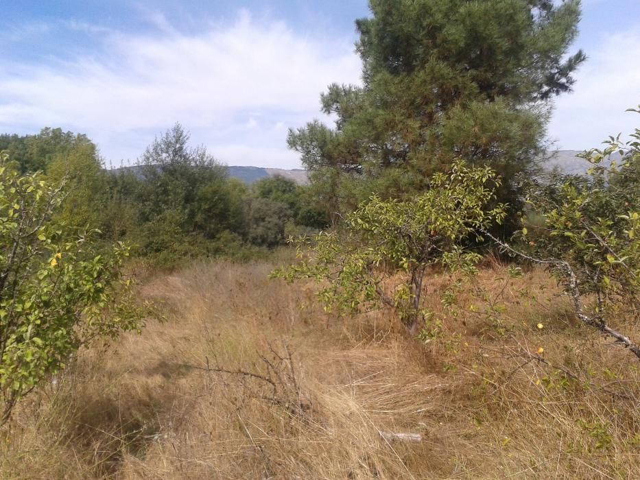 Quinta perto da Ponte Pedrinha