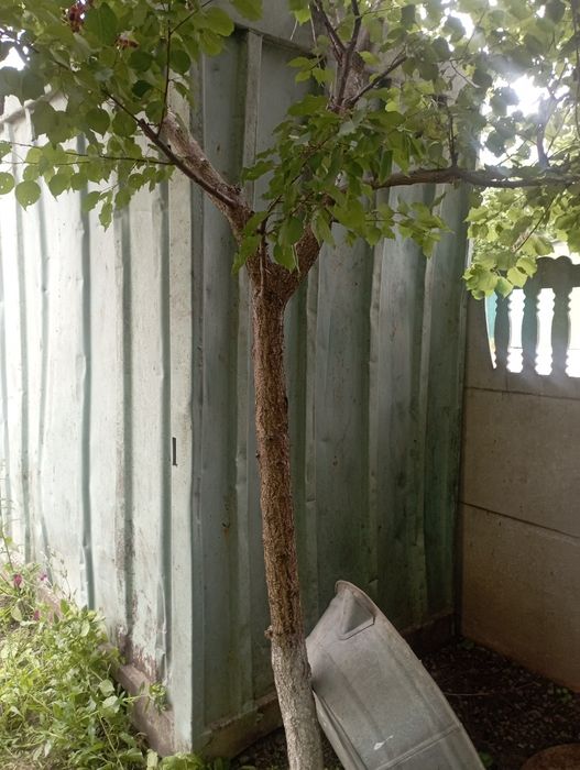 Контейнер металевий 3 тони