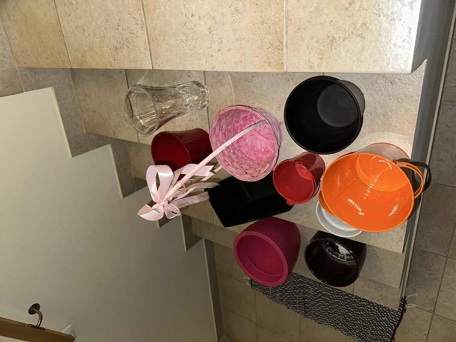 Vasos plantas variados