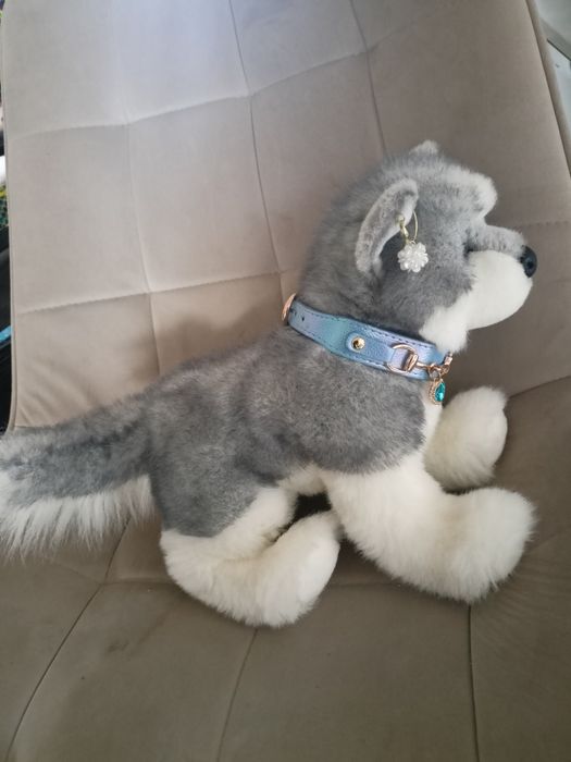 Douglas pluszak Sasha husky wyjątkowy