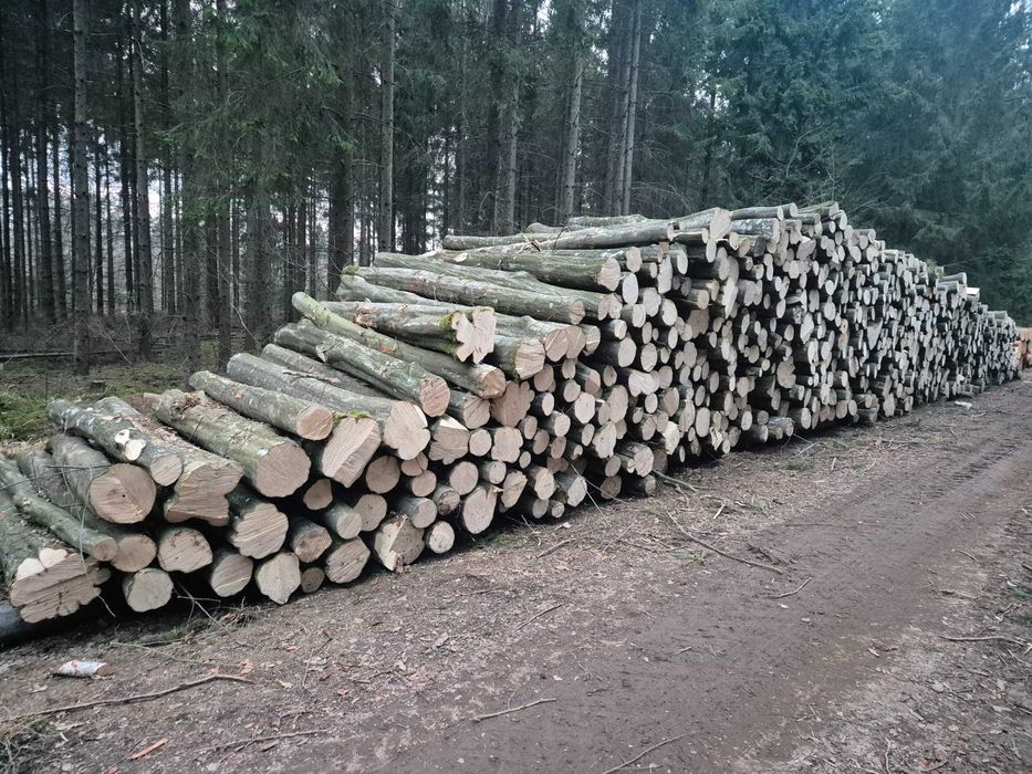 Grab Drewno Opałowe Kominkowe S2a Paletówka opał S4