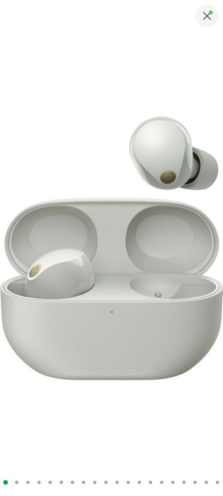 Наушники Sony WF-1000XM5 Platinum Silver