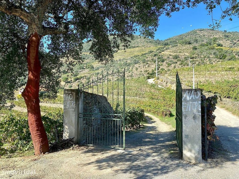 Quinta  para venda