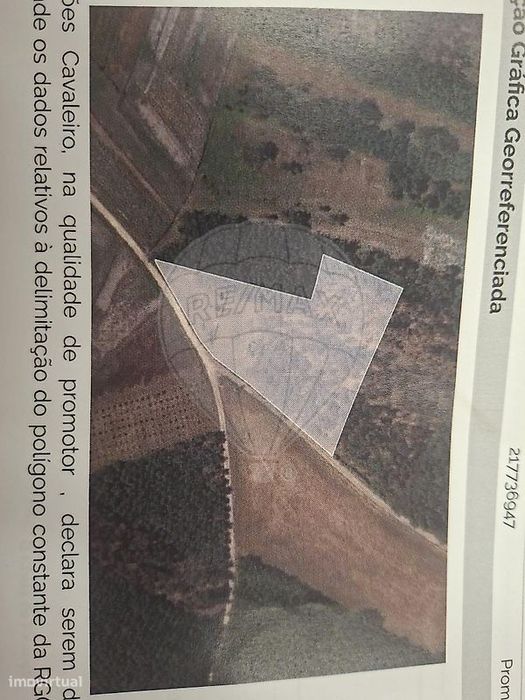 Terreno  para venda