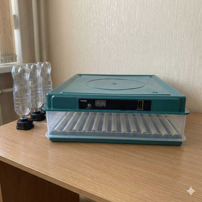 Для блекауту: автоматичний інкубатор, 12–220В, 70/130/200/300