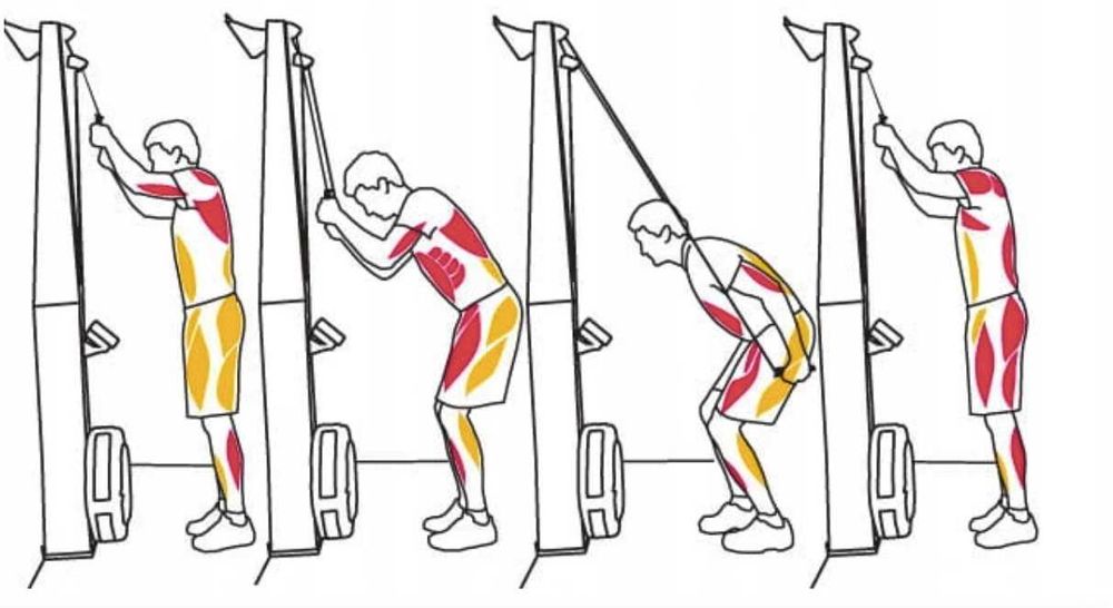 SkiErg PM5_ Concept 2_Dostępne Nowe 3 szt