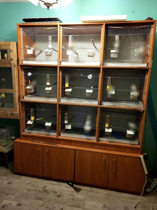 klatka dla ptaków 9x9