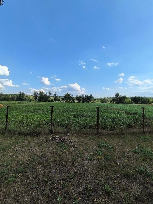 Продаж будинку 117,6 м² (біла цегла) + 45 сот з виходом до річки, с. Куцівка