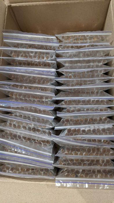 Сиг розсип наби ті