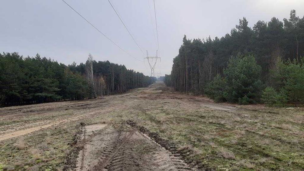 Usługi mulczerem leśnym