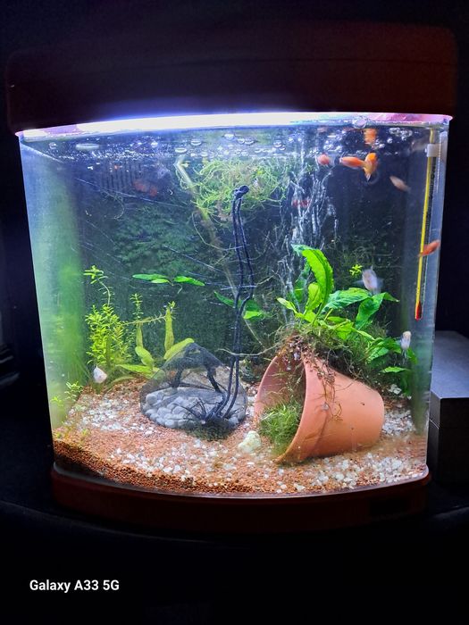 Aquario completo a trabalhar