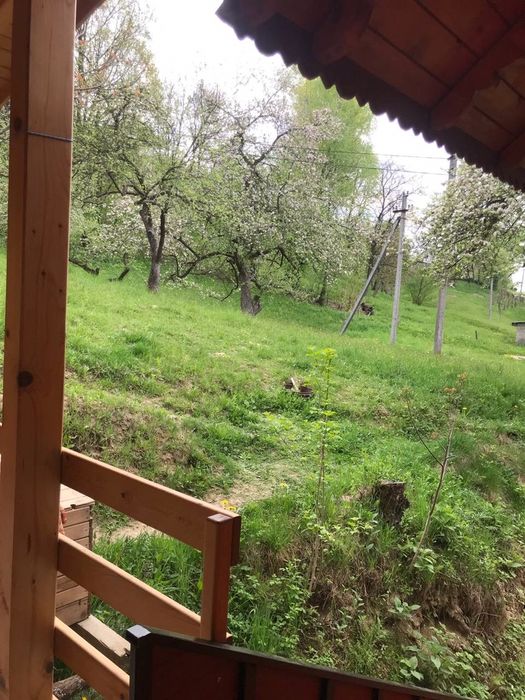 Здам будинок Закарпаття