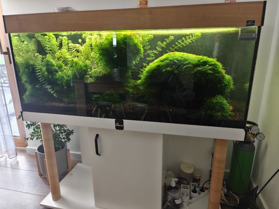 Akwarium 300l + filtr Fluval f4 + butla CO2