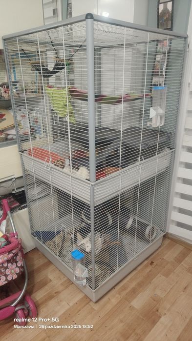 Sprzedam szczurki z klatka