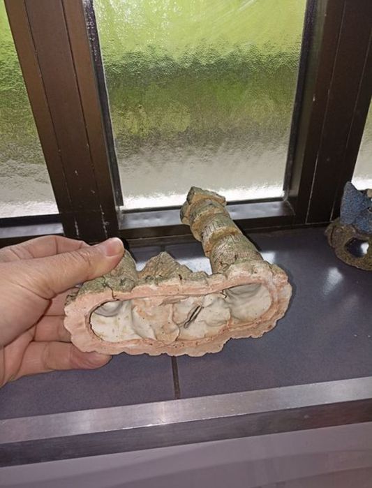 Decorações e Acessórios para aquário